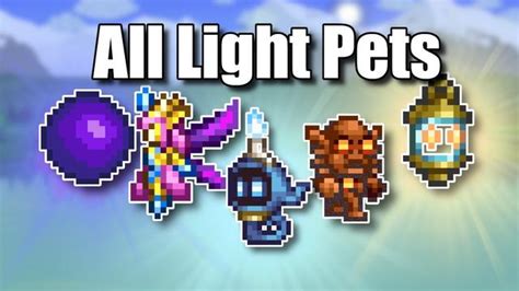 terraria brightest light pet.